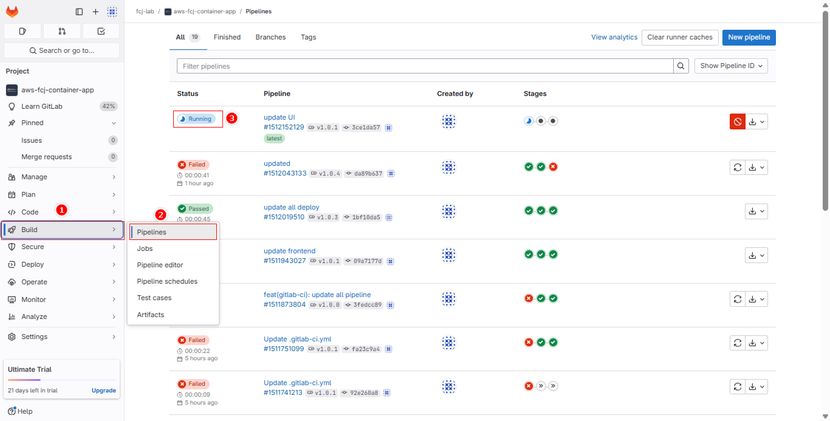 Access CI/CD Pipelines