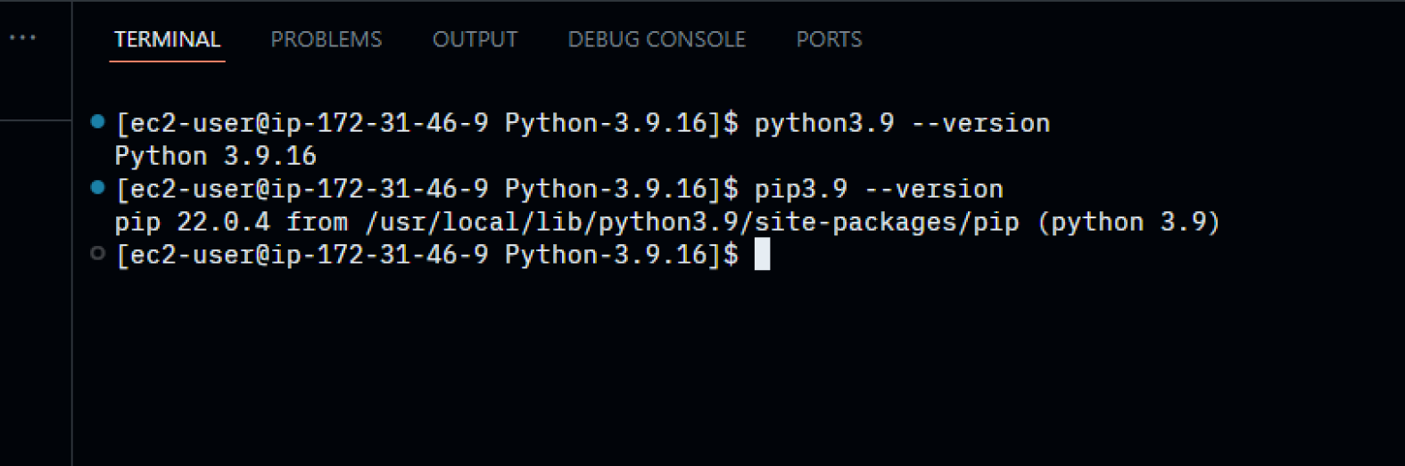 2.31-python-pip-are-installed