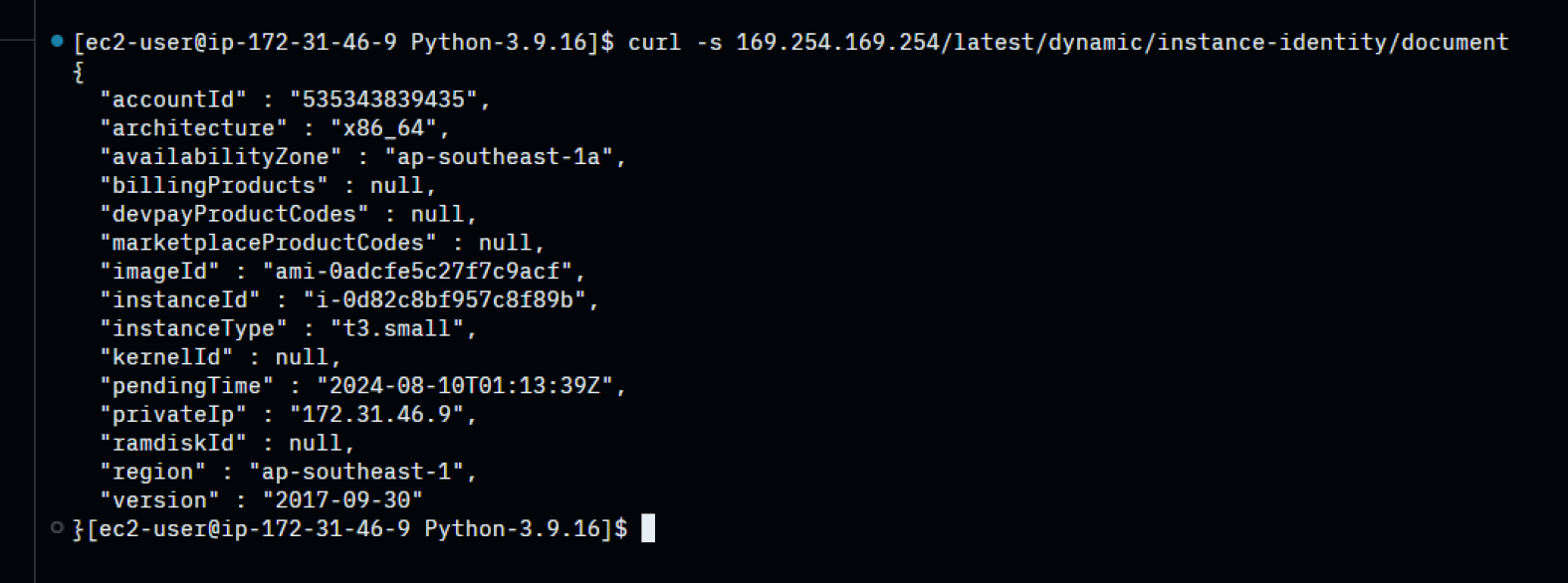 check-instance-metadata