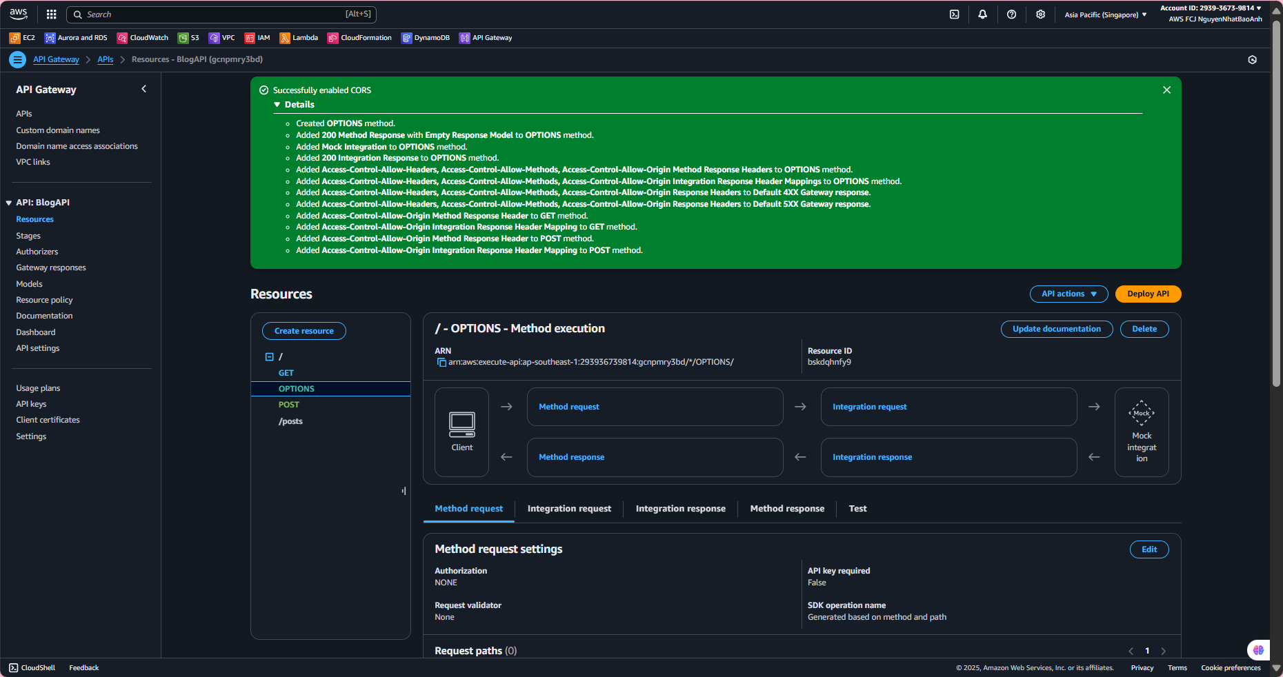 enable-cors.png
