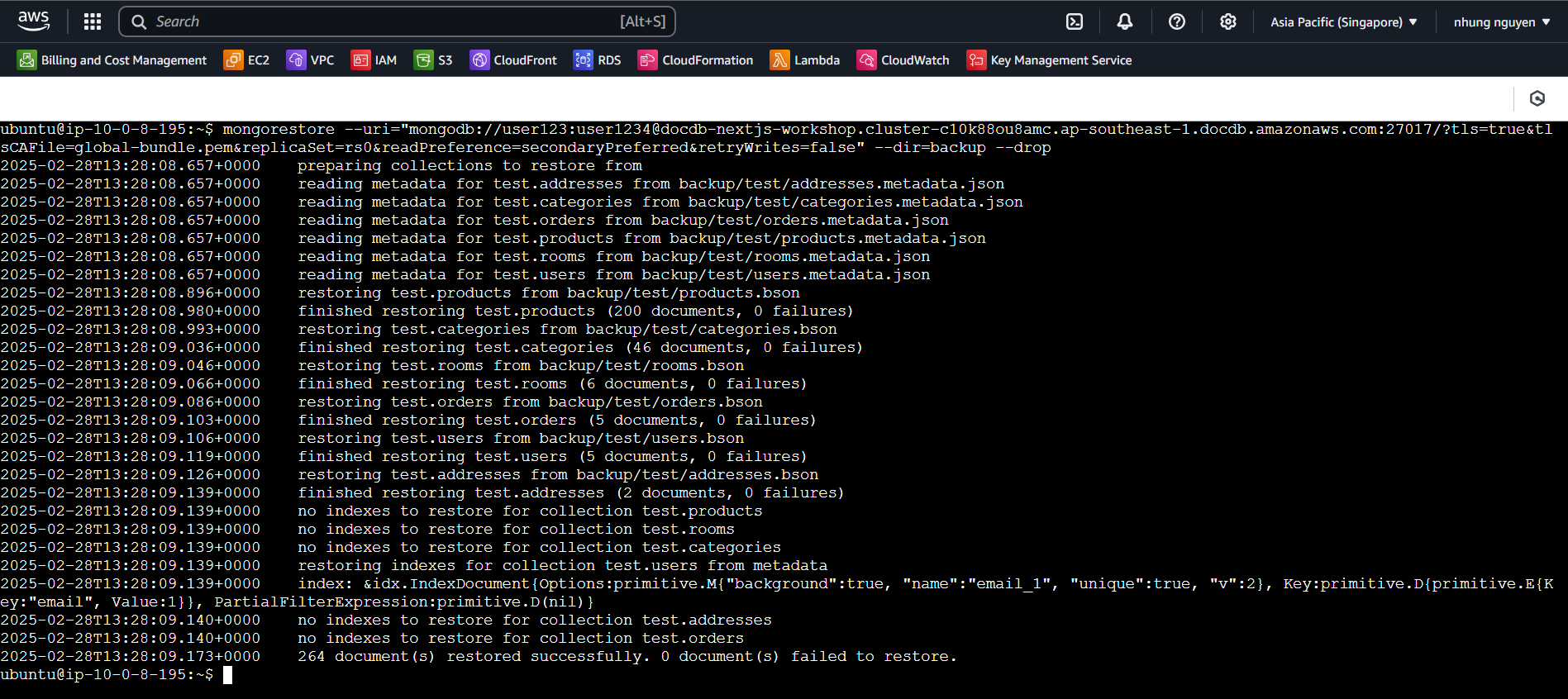 mongorestore